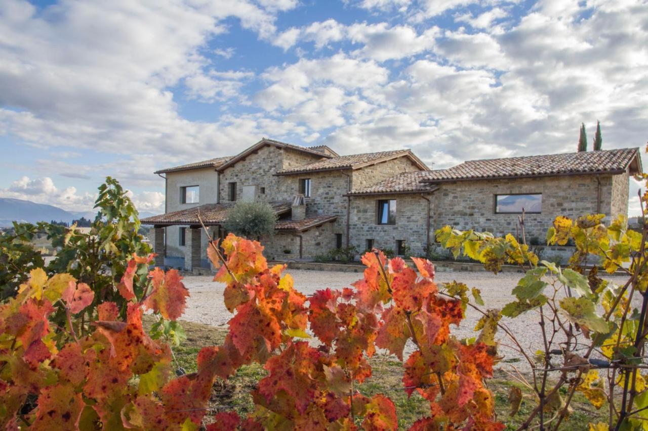 Villa Fattoria Colsanto à Torre del Colle Extérieur photo